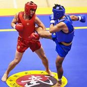 Sanda Kick boxing